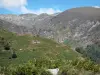 Ariège比利牛斯山脉地区自然公园 - 山景