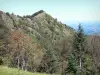 Ariège比利牛斯山脉地区自然公园 - Portel山顶，在前景的树