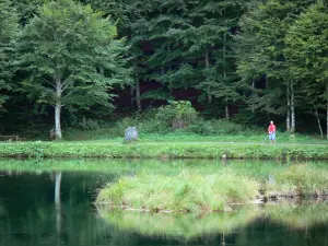 Ariège Pyrenees Regional Nature Park - Bethmale lake and its bank planted with trees, fisherman (fishing); in Le Couserans area, in the Bethmale valley