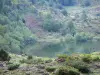 Ariège Pyrenees Regional Nature Park - Lers lake and its banks; in Le Couserans, in the town of Le Port