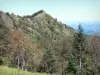 Ariège Pyrenees Regional Nature Park - Portel summit, trees in foreground