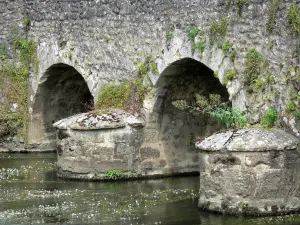 Asnières-sur-Vègre - Alte Brücke im romanischen Stil überspannend den Fluss Vègre