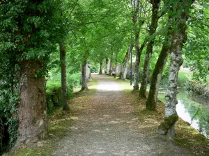 Auberive - Passeggiata tra le acque, gli alberi ombrosi