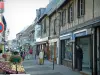Aubigny-sur-Nère - Rue commerçante et animée avec magasins et marché