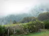 Aubrac in Aveyron - Groen landschap met mist