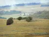 Aubrac in Aveyron - Huizen omgeven door bomen en weiden