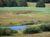 Aubrac Lozérien - Route des lacs : vue sur le lac de Souverols (ou lac de Souveyrols) et ses abords préservés