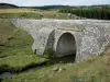 Aubrac Lozérien - Brücke Nègres überspannend den Bach Plèches