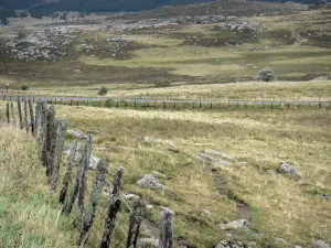 Aubrac Lozérien - Paysage de pâturages et de pierres, clôture en premier plan