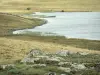 Aubrac Lozérien - Route des lacs : lac de Saint-Andéol sur le plateau de l'Aubrac