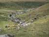 Aubrac Lozérien - Ruisseau parsemé de pierres et bordé de pâturages