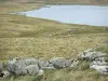 Aubrac Lozérien - Strasse der Seen: See von Saint-Andéol umgeben von Weiden