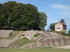 Autun - Remains of the Roman theatre (ancient theatre), trees and house