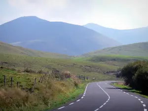 Auvergne Volcanic Regional Nature Park - Road lined with pastures and mountains; in the Massif du Sancy mountains (Monts Dore)