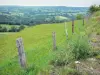 Auvergne Volcanic Regional Nature Park - Fence of a prairie in bloom in foreground, overlooking a landscape with trees