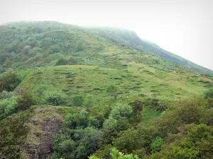 Auvergne Volcanic Regional Nature Park - Monts du Cantal: mountain slope