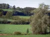 Avesnois Regional Nature Park - Meadows, hedges and trees (hedged farmland)