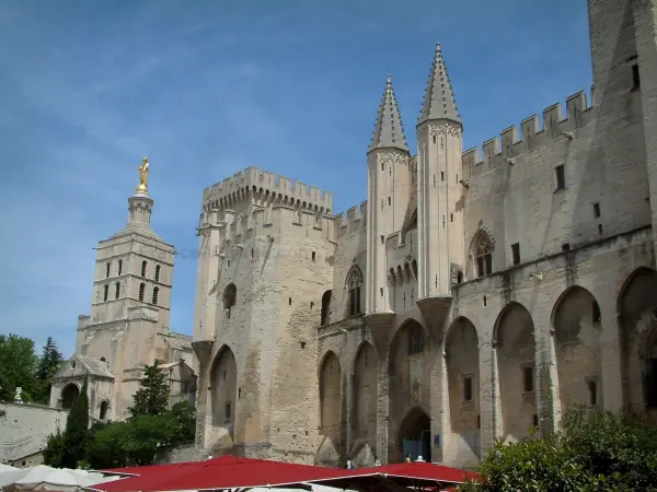 Avignon - Palace of the Popes and the Notre-Dame-des-Doms cathedral