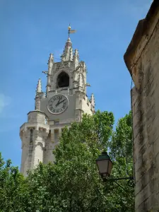 Avignon - Jacquemart tour (clock), house and tree