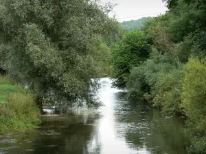 Axe vert, wandel- recreatiepad van Thiérache - De met bomen omzoomde rivier de Oise, de buurt van de groene as, in Thierache (vallei van de Oise)