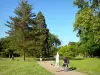 Bagatelle park - Stroll along the paths of the park planted with trees