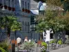 Bagnères-de-Bigorre - Spa town: thermal baths (Thermes), walkers, floral decorations (flowers) and palms in pots