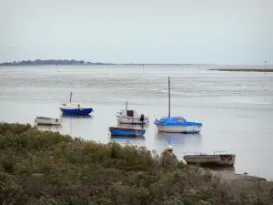 Bahía de Somme - Barcos en el agua