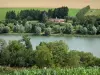 Meer van Bairon - Uitzicht op het water reservoir omgeven door bomen
