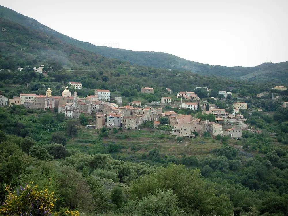 La Balagne - Balagne: Village perché de Cateri entouré d'arbres