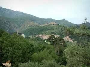 Balagne - Hoch liegende Dörfer auf einem Hügel bestreut mit Bäumen