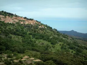 Balagne - Village d'Occiatana perché sur une colline parsemée d'arbres