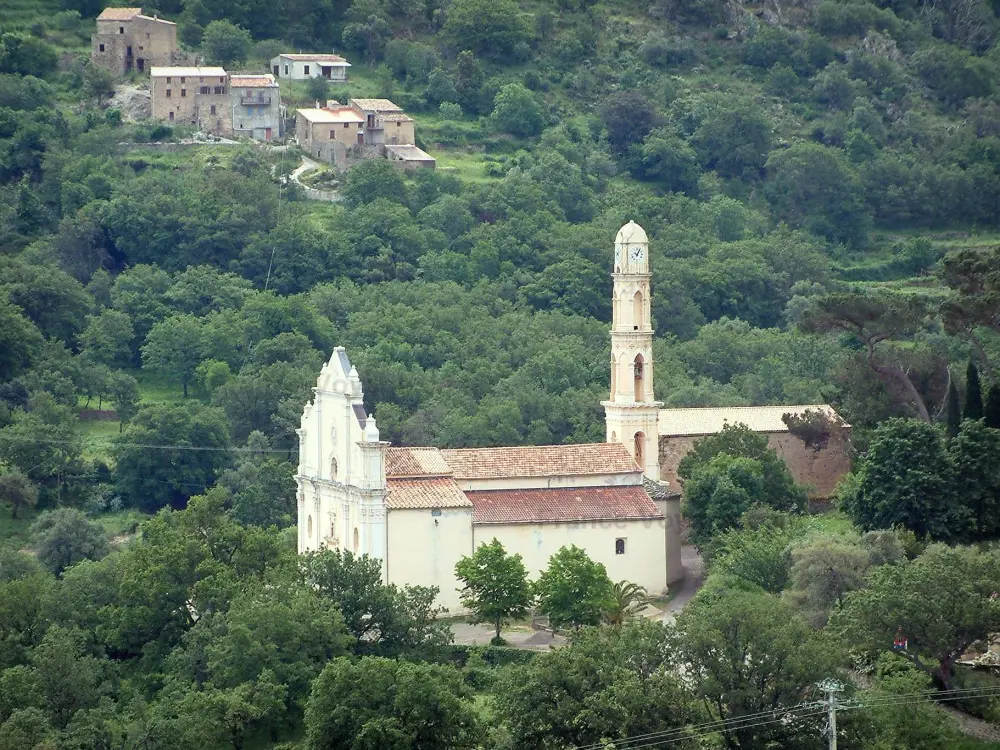 La Balagne - Balagne: Église et maisons entourées d'arbres