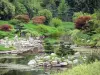 Bamboebos van Prafrance - Anduze bamboe (over de gemeente van Generargues), exotische tuin: Valley of the Dragon (Zen-tuin in het Japans)