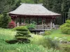 Bamboebos van Prafrance - Anduze bamboe (over de gemeente van Generargues), exotische tuin: Paviljoen van de vallei van de Draak (Zen-tuin in het Japans)