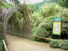 Bamboebos van Prafrance - Anduze bamboe (over de gemeente van Generargues), exotische tuin: bambusarium