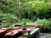 Bamboebos van Prafrance - Anduze bamboe (over de gemeente van Generargues), exotische tuin: bonsai op de voorgrond en bomen in potten