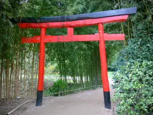 Bamboo garden of Prafrance - Bamboo garden of Anduze (in the town of Générargues), exotic garden: Dragon valley: Japanese portico surrounded by bamboo