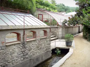 Bamboo garden of Prafrance - Bamboo garden of Anduze (in the town of Générargues), exotic garden: Mazel greenhouses