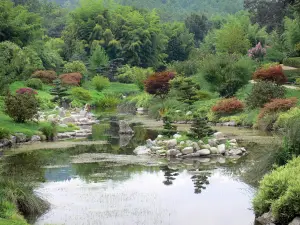 Bambouseraie de Prafrance - Bambouseraie d'Anduze (sur la commune de Générargues), jardin exotique : vallon du Dragon (jardin zen à la japonaise)