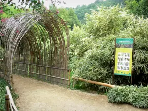 Bambouseraie de Prafrance - Bambouseraie d'Anduze (sur la commune de Générargues), jardin exotique : bambusarium