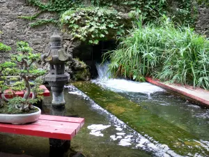 Bambouseraie de Prafrance - Bambouseraie d'Anduze (sur la commune de Générargues), jardin exotique : bonsaïs au bord de l'eau