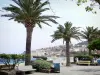 Banyuls-sur-Mer - Walk along the beach with benches and palm trees