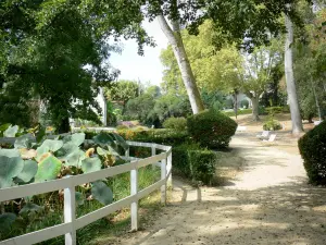 Barbotan-les-Thermes - Thermalbad (auf der Gemeinde Cazaubon): Kurpark geschmückt mit Wasserpflanzen und Bäumen