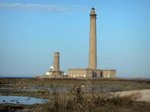 Barfleur headland - Lighthouse, cliffs and wild flowers