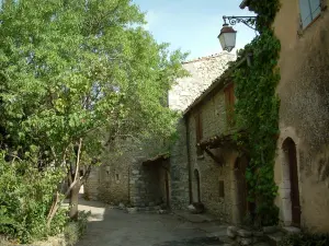 Bargème - La calle de la villa medieval con casas de piedra, árboles y luces