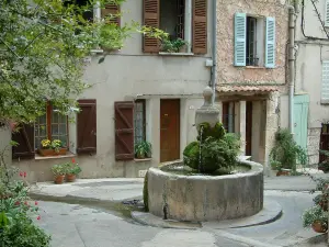 Bargemon - Branches d'un arbre en premier plan, fontaine, plantes, pots de fleurs et maisons du village