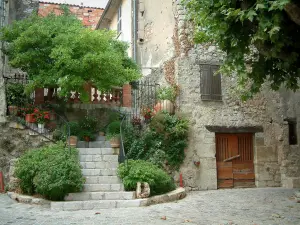 Bargemon - Treppe geschmückt mit Pflanzen und Blumentöpfen, Haus und Zweige einer Platane (Baum)