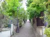 Barrio de la Mouzaïa - Calzada pavimentada decorado con farolas y llena de vegetación