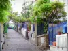 Barrio de la Mouzaïa - Los pequeños jardines con glicinas en flor