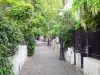 Barrio de la Mouzaïa - Calle empedrada salpicado de farolas y llena de vegetación